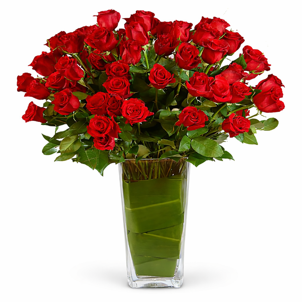 Bellissimo 100  Roses