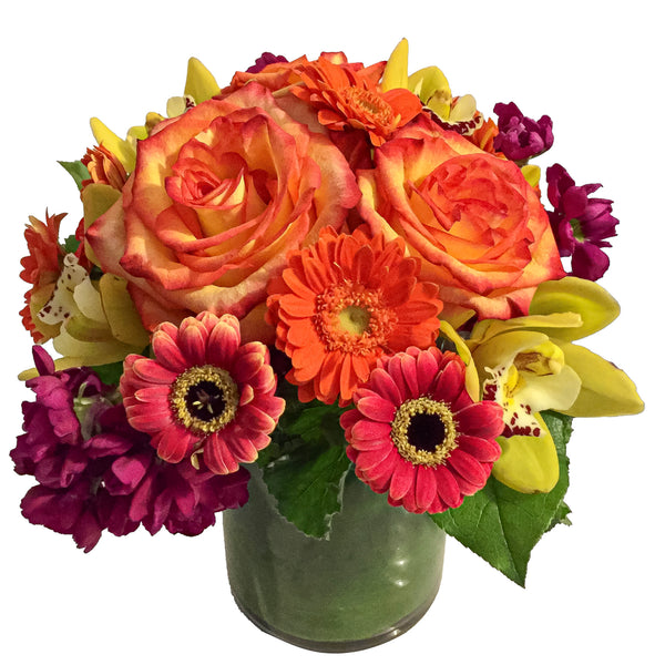 Daisy Fun Floral Arrangement