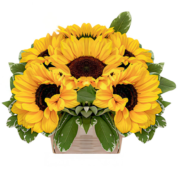 Sunny Days Floral Arrangement