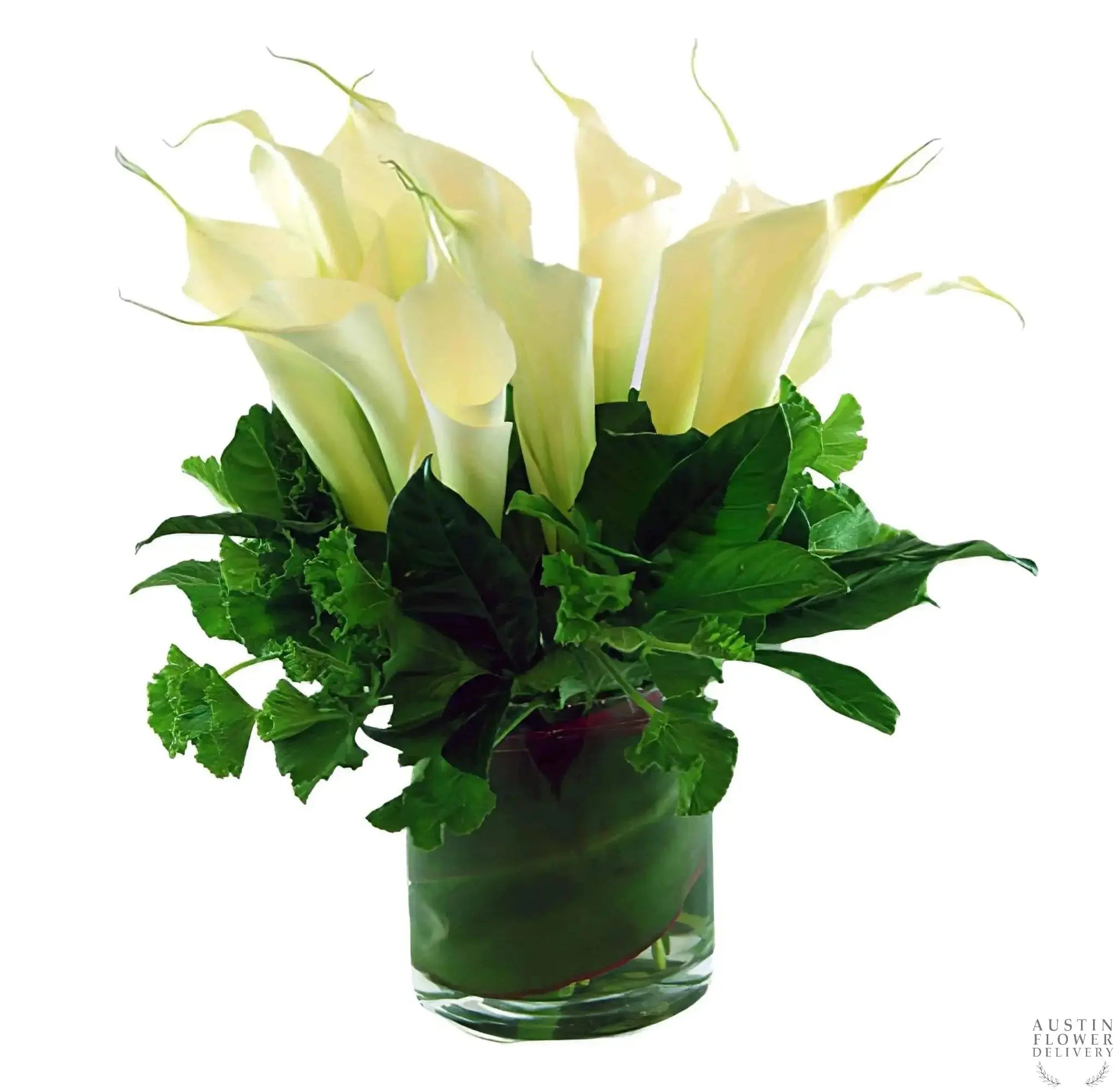 calla lily plants for delivery Calla Lily Esplosione Flower Arrangement