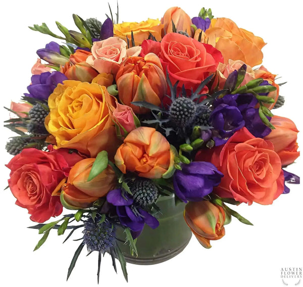 Cuckoo Wrasse Flower Arrangement