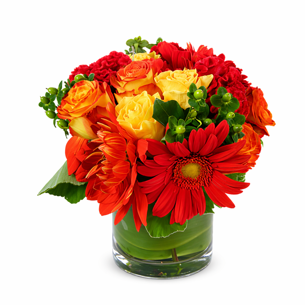 Apollo Flower Arrangement