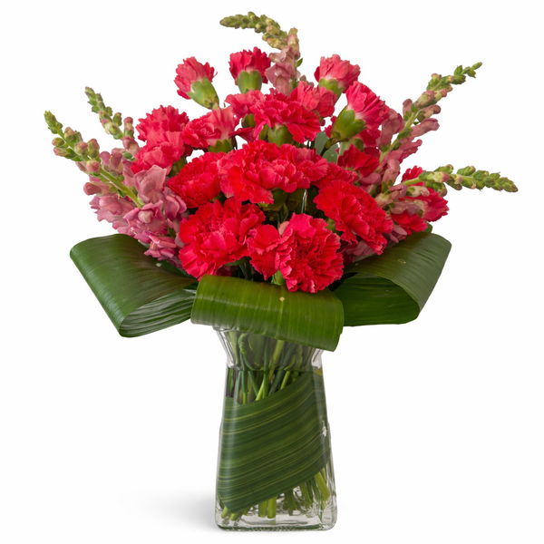 Carnation Moderne Arrangement