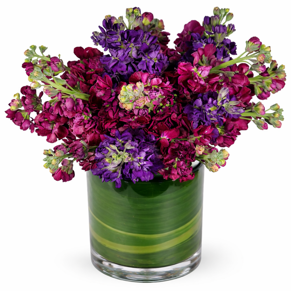 Colorful Matthiola Arrangement