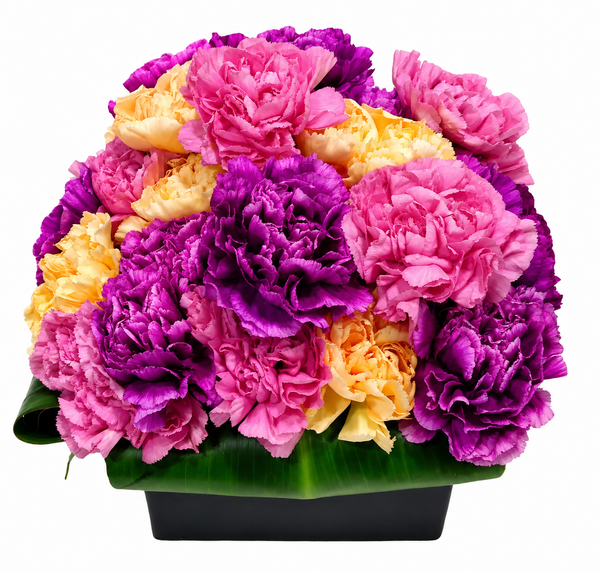 Contemporary Carnation Box Flower Arrangement