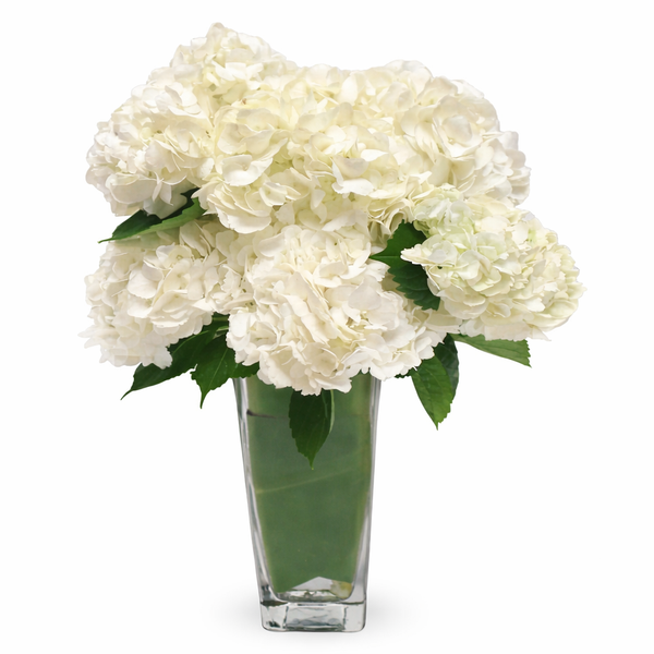 Hydrangea Paraded Flower Arrangement