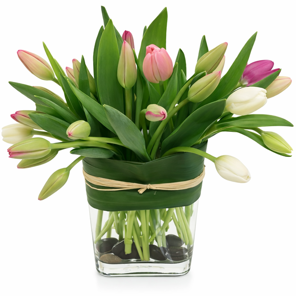 Tulipani di San Valentino Arrangement
