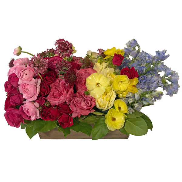 Tesoro del Giardino Arrangement